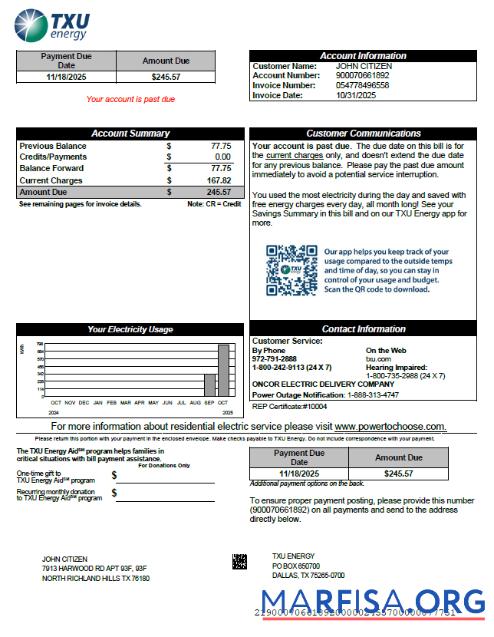 Blank USA TXU Energy utility bill template in Word and PDF formats, version 8
